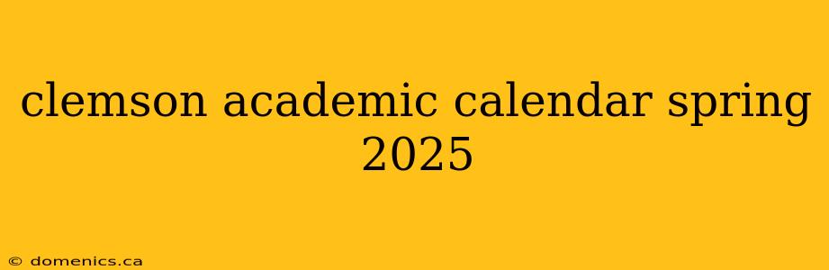 clemson academic calendar spring 2025