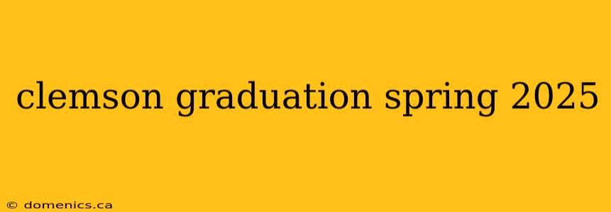 clemson graduation spring 2025