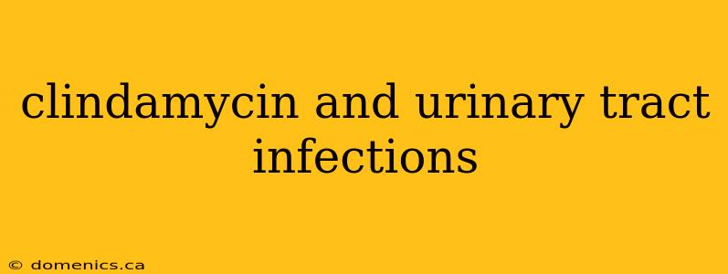 clindamycin and urinary tract infections