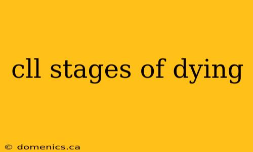 cll stages of dying