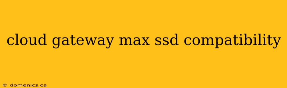 cloud gateway max ssd compatibility