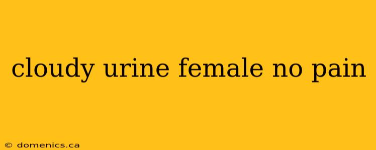 cloudy urine female no pain