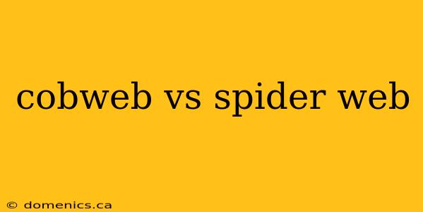 cobweb vs spider web