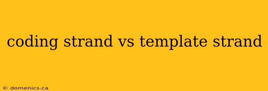 coding strand vs template strand