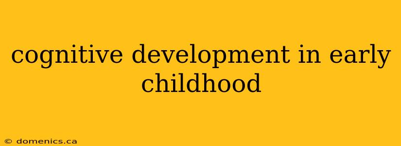 cognitive development in early childhood