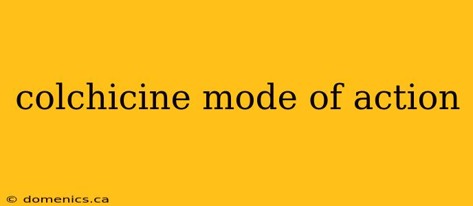 colchicine mode of action