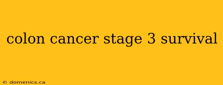 colon cancer stage 3 survival