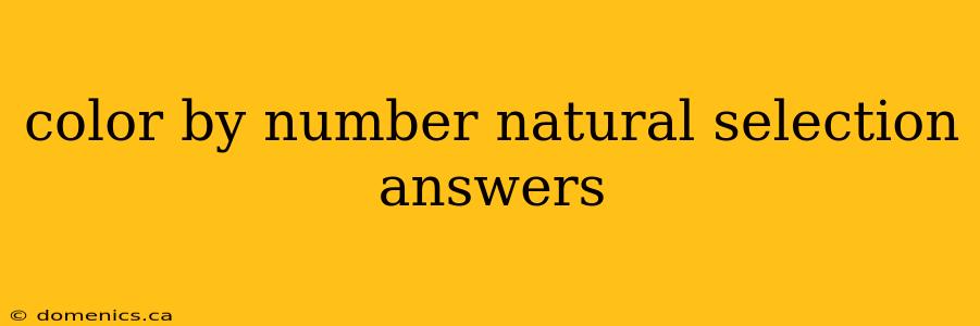 color by number natural selection answers