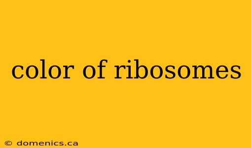 color of ribosomes