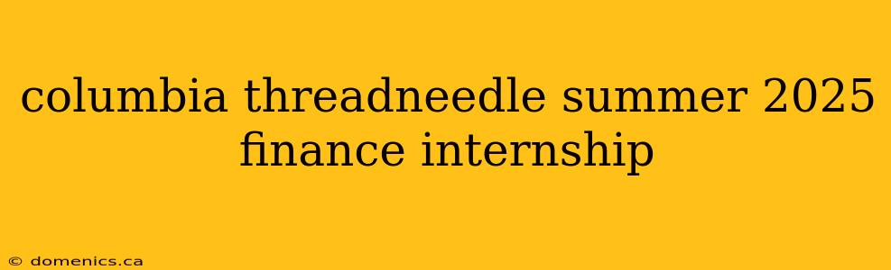 columbia threadneedle summer 2025 finance internship