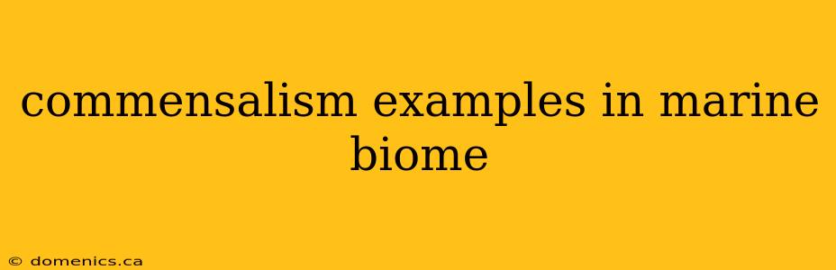 commensalism examples in marine biome