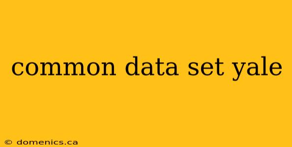 common data set yale