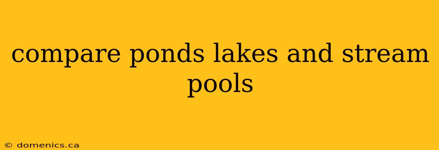 compare ponds lakes and stream pools