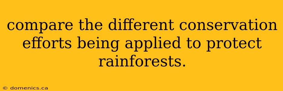 compare the different conservation efforts being applied to protect rainforests.