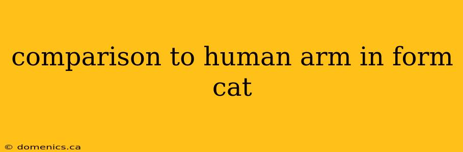 comparison to human arm in form cat