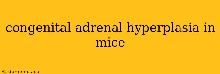 congenital adrenal hyperplasia in mice