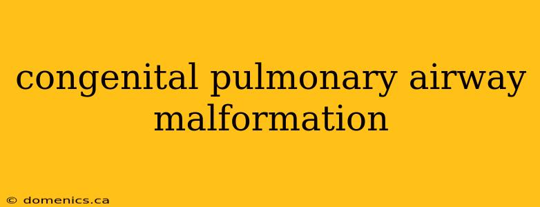 congenital pulmonary airway malformation