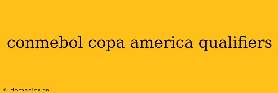 conmebol copa america qualifiers