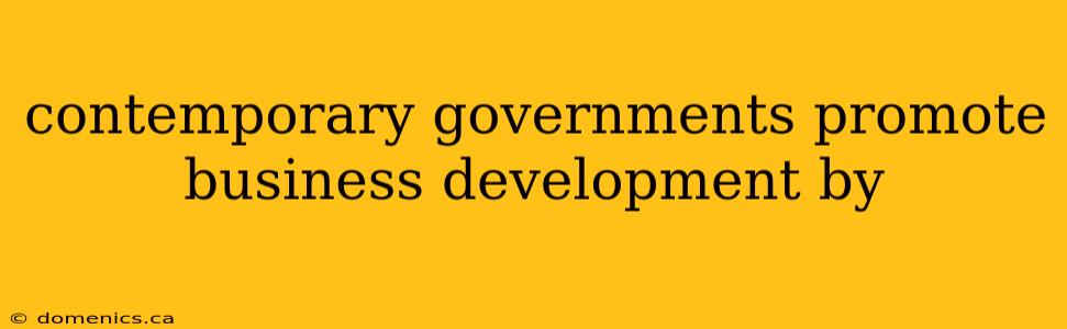 contemporary governments promote business development by