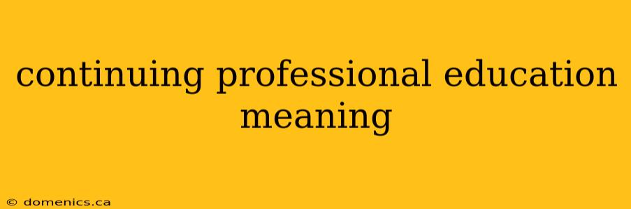 continuing professional education meaning