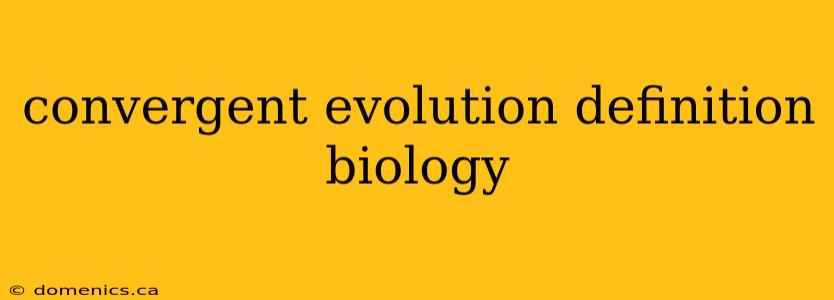 convergent evolution definition biology