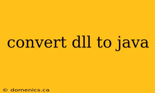 convert dll to java