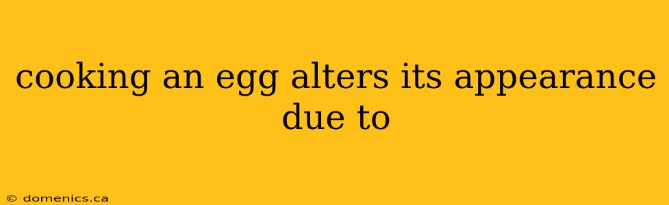 cooking an egg alters its appearance due to