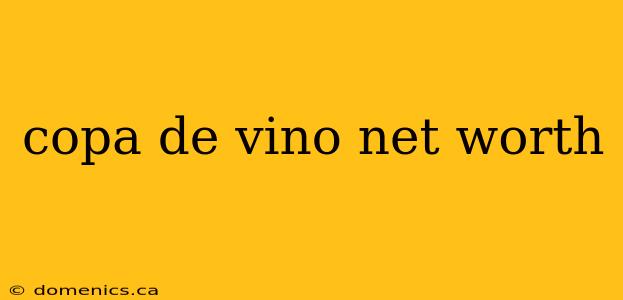 copa de vino net worth