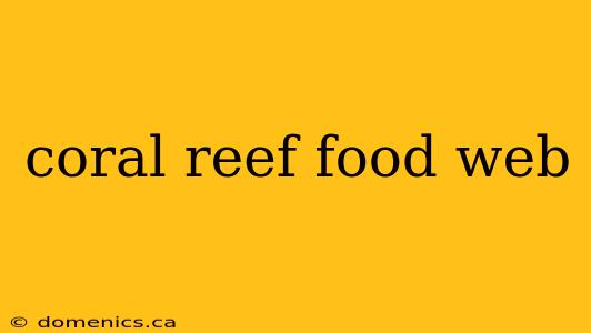 coral reef food web