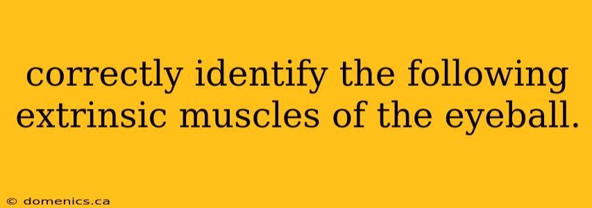 correctly identify the following extrinsic muscles of the eyeball.