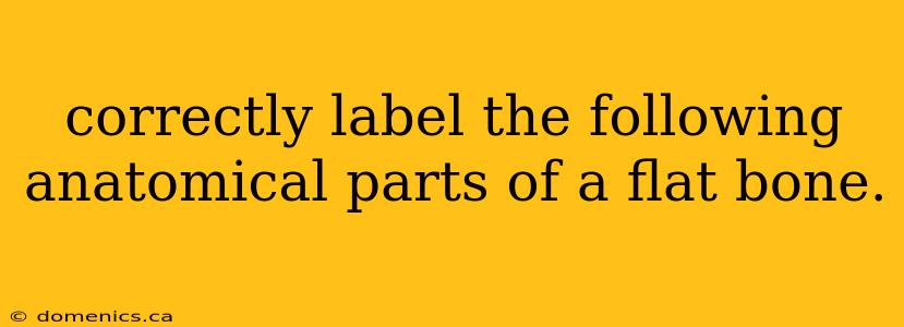 correctly label the following anatomical parts of a flat bone.