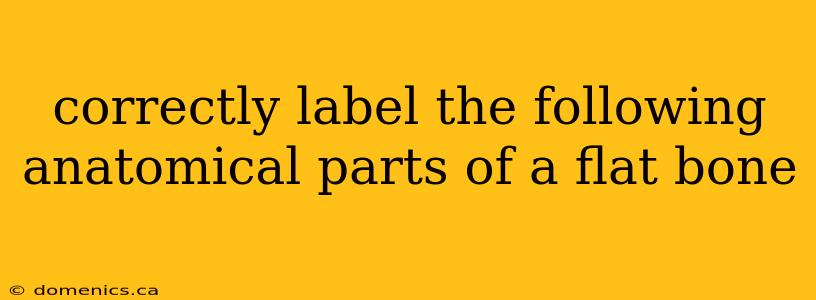 correctly label the following anatomical parts of a flat bone