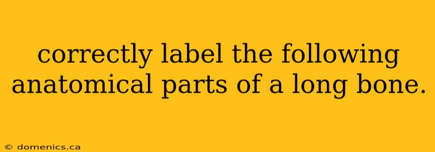 correctly label the following anatomical parts of a long bone.