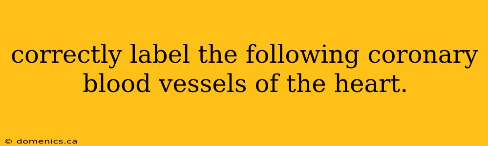 correctly label the following coronary blood vessels of the heart.