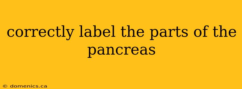 correctly label the parts of the pancreas