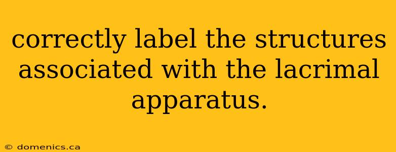 correctly label the structures associated with the lacrimal apparatus.