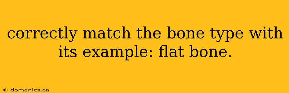 correctly match the bone type with its example: flat bone.