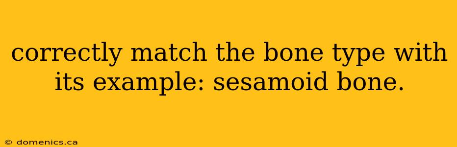 correctly match the bone type with its example: sesamoid bone.