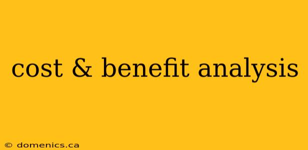 cost & benefit analysis