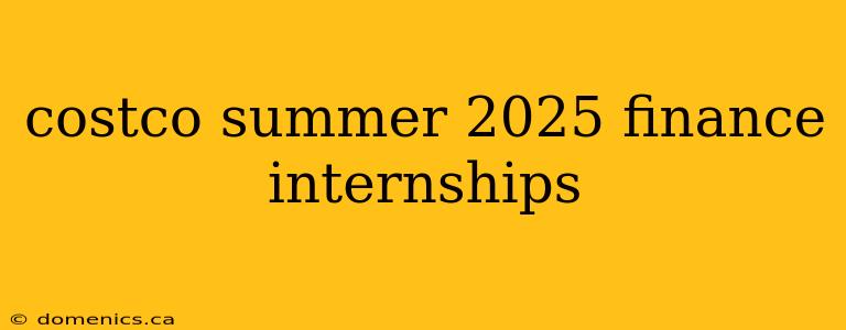 costco summer 2025 finance internships