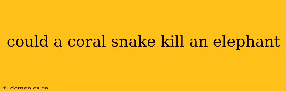 could a coral snake kill an elephant