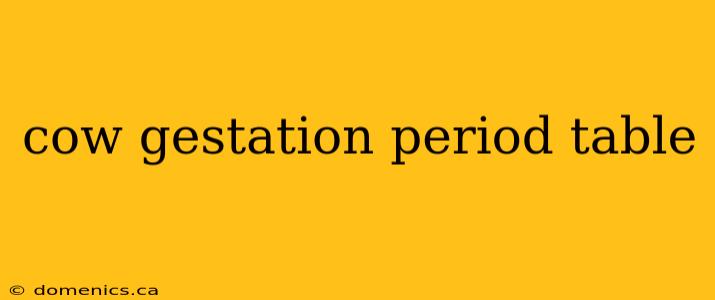 cow gestation period table