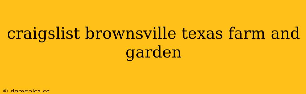 craigslist brownsville texas farm and garden