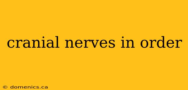 cranial nerves in order