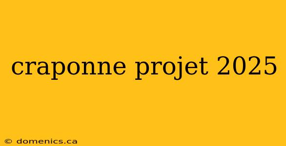 craponne projet 2025