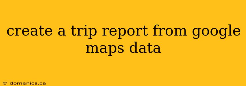 create a trip report from google maps data