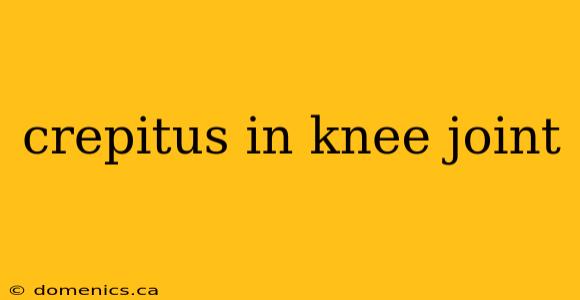 crepitus in knee joint