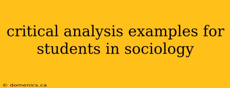 critical analysis examples for students in sociology