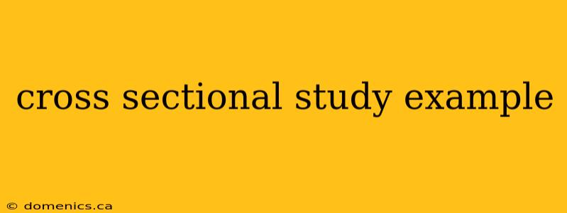 cross sectional study example