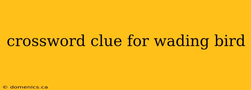 crossword clue for wading bird